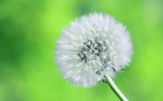 managing expectations